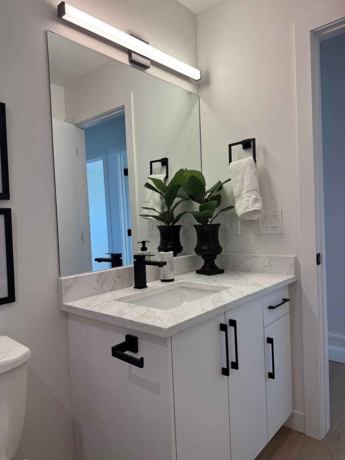 Kitchen Cabinet Project 3